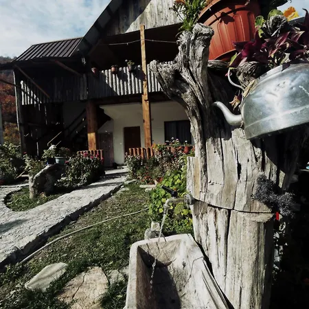 Lola Guest house